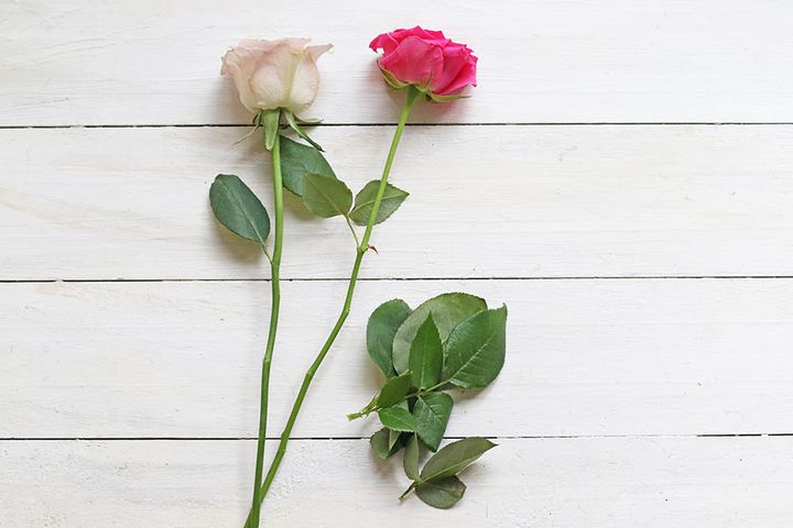 バラの葉を取る