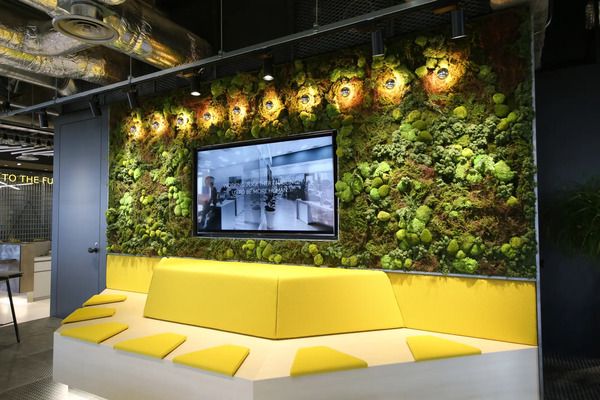 枯れない苔のインテリアアート『KOKE』の公式ECサイトOPEN！期間限定で20％OFFに