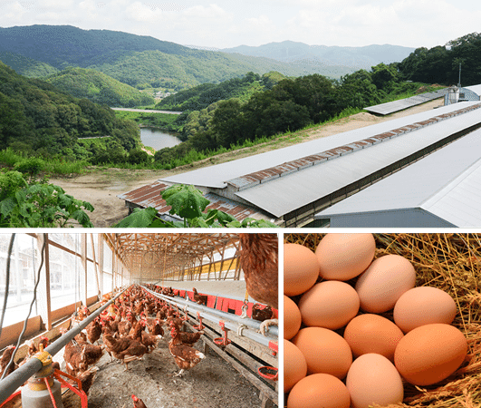 【大阪府大阪市】“ひとくちの幸せ”が楽しめる、たまごスイーツの新ブランドがオープン！