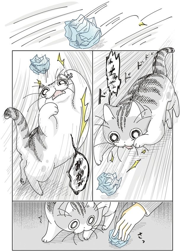 紙くずに興奮 （C）キュルZ／KADOKAWA