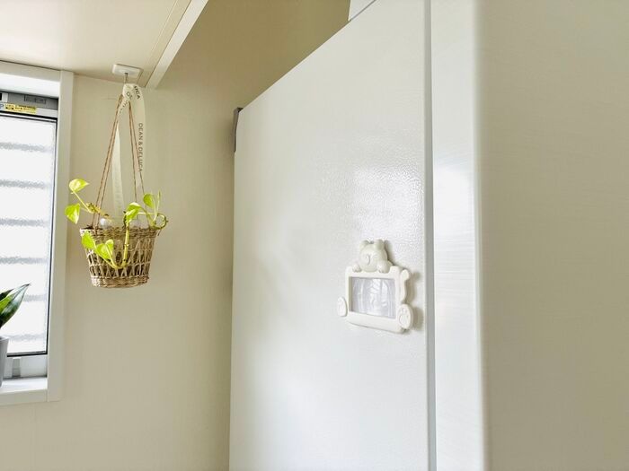 【セリア】大人のプチ悩みを救う⇨『ネコの窓』がキッチンで大活躍！「見た目もかわいくて買って大正解！」