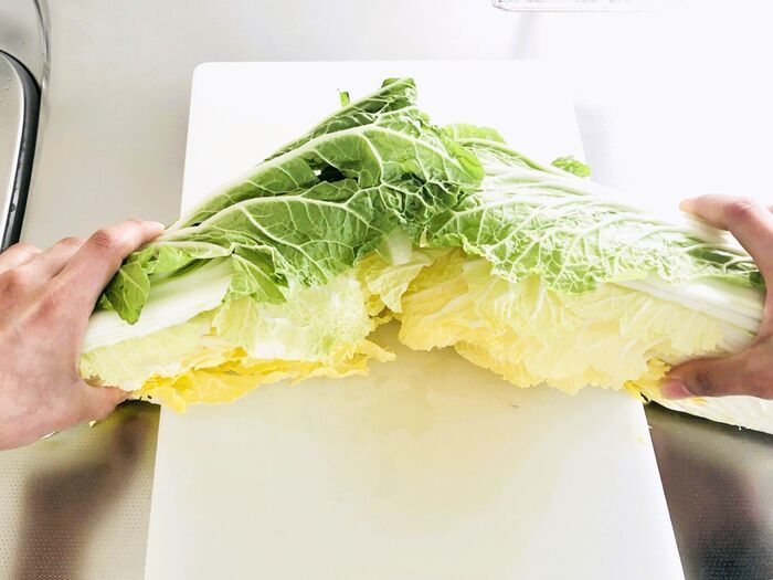 切り込みを入れるだけで…？大きな白菜を気持ちいいほどラク～に分ける裏ワザ。一度やったらやみつきだ♪