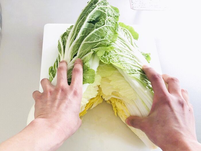 切り込みを入れるだけで…？大きな白菜を気持ちいいほどラク～に分ける裏ワザ。一度やったらやみつきだ♪