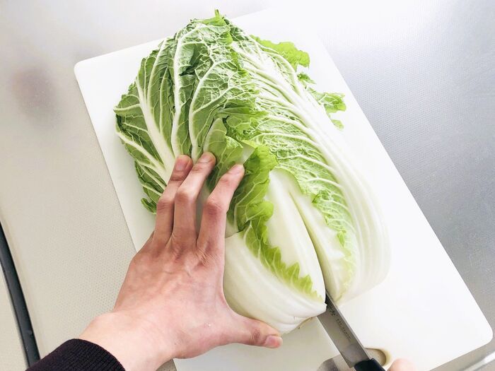 切り込みを入れるだけで…？大きな白菜を気持ちいいほどラク～に分ける裏ワザ。一度やったらやみつきだ♪
