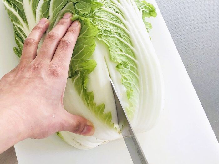 切り込みを入れるだけで…？大きな白菜を気持ちいいほどラク～に分ける裏ワザ。一度やったらやみつきだ♪