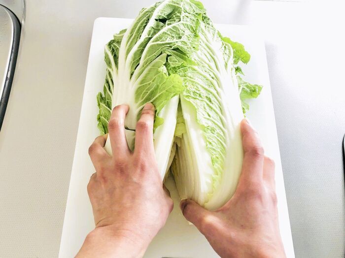 切り込みを入れるだけで…？大きな白菜を気持ちいいほどラク～に分ける裏ワザ。一度やったらやみつきだ♪
