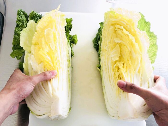 切り込みを入れるだけで…？大きな白菜を気持ちいいほどラク～に分ける裏ワザ。一度やったらやみつきだ♪