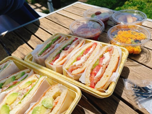 初心者におすすめ！キャンピングカーが利用できるキャンプ場10選【徳島県・香川県】