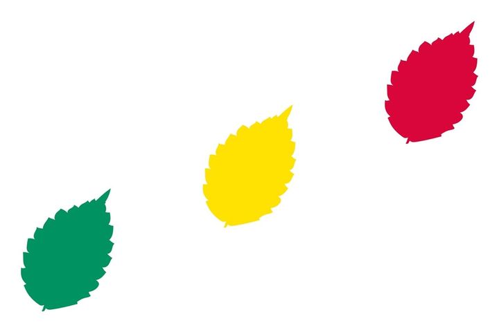 画像2: JEF United Ichihara Chiba 2026 hummel Away