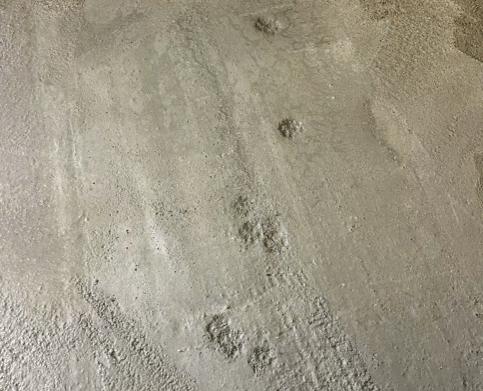 工事中のところ、お客さんが来店。