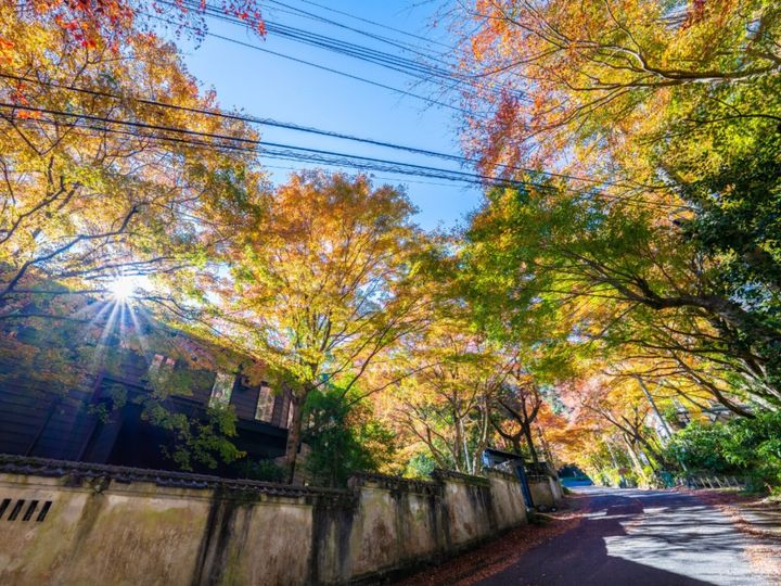 All About ニュース編集部が全国250人を対象に実施した「東京から日帰りで行きたい温泉に関するアンケート」の調査結果から、「日帰りで行きたい神奈川県（箱根・湯河原エリア）の温泉地」ランキングを発表！ 2位「湯河原温泉」を抑えた1位は？