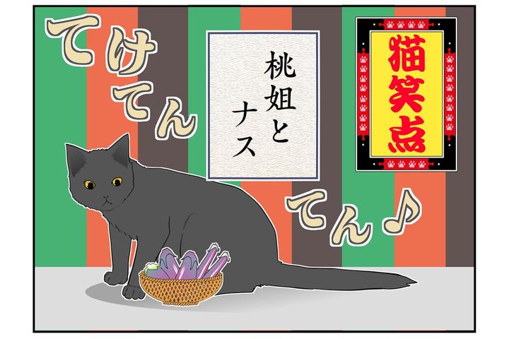 【マンガ・老猫日誌＃54】老猫とナスの謎かけ？〜19歳の元保護猫・桃姐