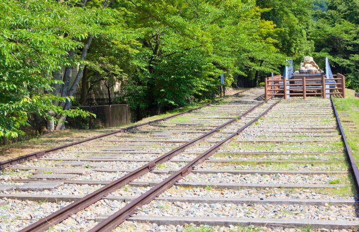 【京都・新国宝を訪ねる紅葉さんぽ】琵琶湖疏水で船旅を楽しんだ後は、庭園めぐりや湯豆腐も♪