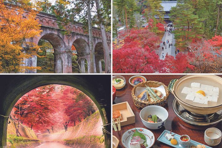 【京都・新国宝を訪ねる紅葉さんぽ】琵琶湖疏水で船旅を楽しんだ後は、庭園めぐりや湯豆腐も♪