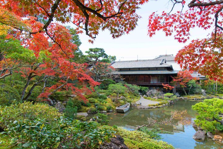 【京都・新国宝を訪ねる紅葉さんぽ】琵琶湖疏水で船旅を楽しんだ後は、庭園めぐりや湯豆腐も♪