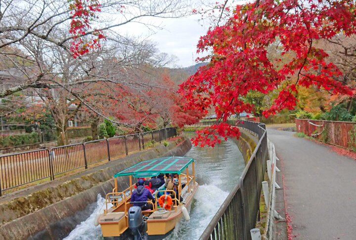【京都・新国宝を訪ねる紅葉さんぽ】琵琶湖疏水で船旅を楽しんだ後は、庭園めぐりや湯豆腐も♪