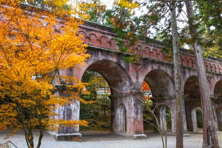 【京都・新国宝を訪ねる紅葉さんぽ】琵琶湖疏水で船旅を楽しんだ後は、庭園めぐりや湯豆腐も♪