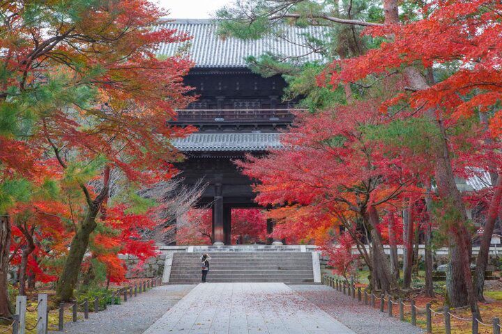 【京都・新国宝を訪ねる紅葉さんぽ】琵琶湖疏水で船旅を楽しんだ後は、庭園めぐりや湯豆腐も♪