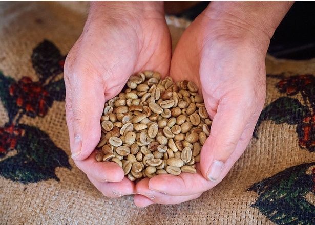 コーヒーにおいて最も重視するのが生豆の質。質と価格でバランスのよいものを仕入れる