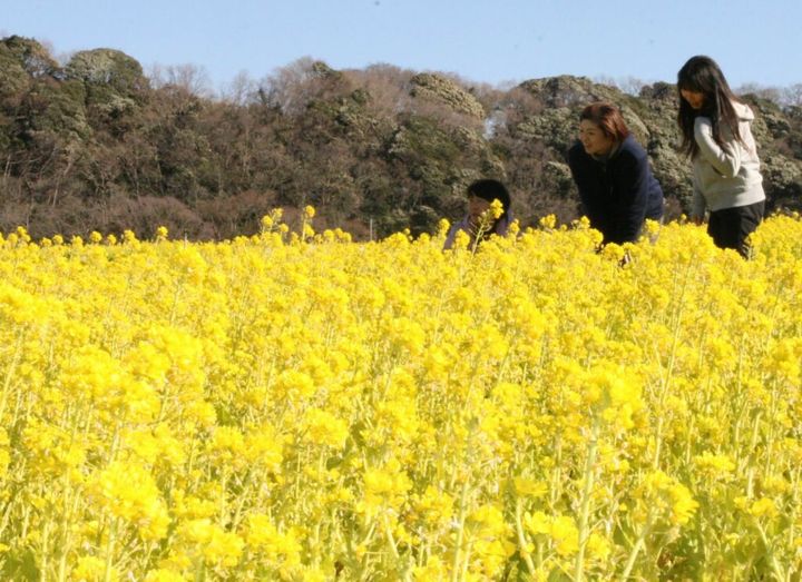 全国でクマによる被害が深刻化している2025年。市街地にも現れる「アーバンベア」も問題となる中、ある事実が改めて注目を集めています。