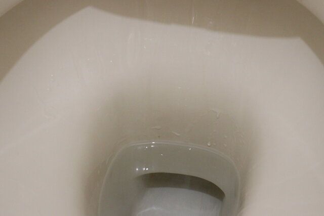 トイレ用洗浄剤 使用前