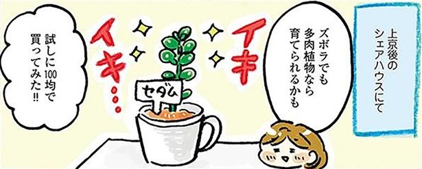 試しに100均で買ってみた！！ （C）おづまりこ／KADOKAWA