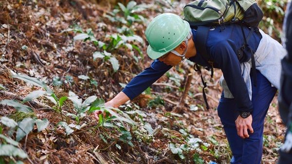 【神奈川県相模原市】五感で秋の自然の魅力を味わう「さがみ湖MORI MORI 秋の生き物探検ツアー」開催