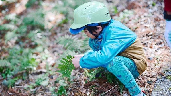 【神奈川県相模原市】五感で秋の自然の魅力を味わう「さがみ湖MORI MORI 秋の生き物探検ツアー」開催