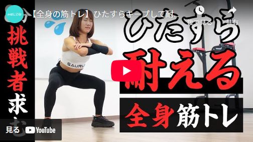 筋トレのやつ 筋トレのやつ 筋トレイヤー ZX DAMPER 詳細情報|RACING GEAR