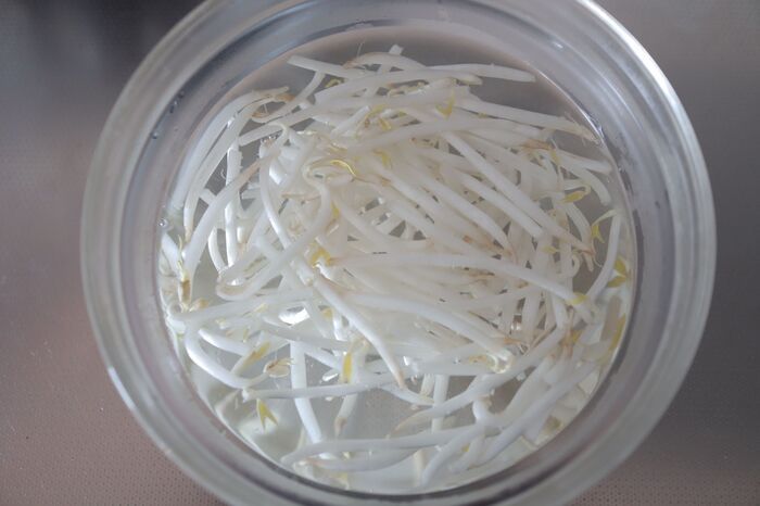 いつもの「もやし炒め」が生まれ変わる！お店級シャキシャキ食感に変わる〈たった2つの裏ワザ〉