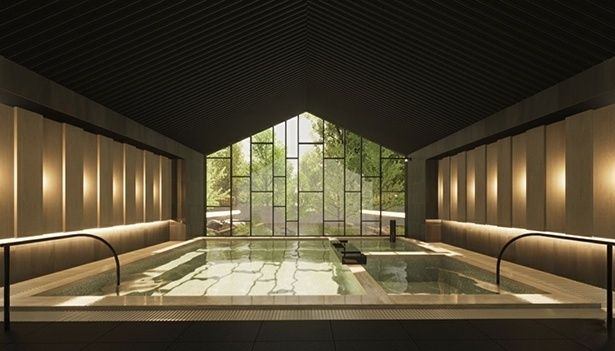 中庭の自然を感じる内観