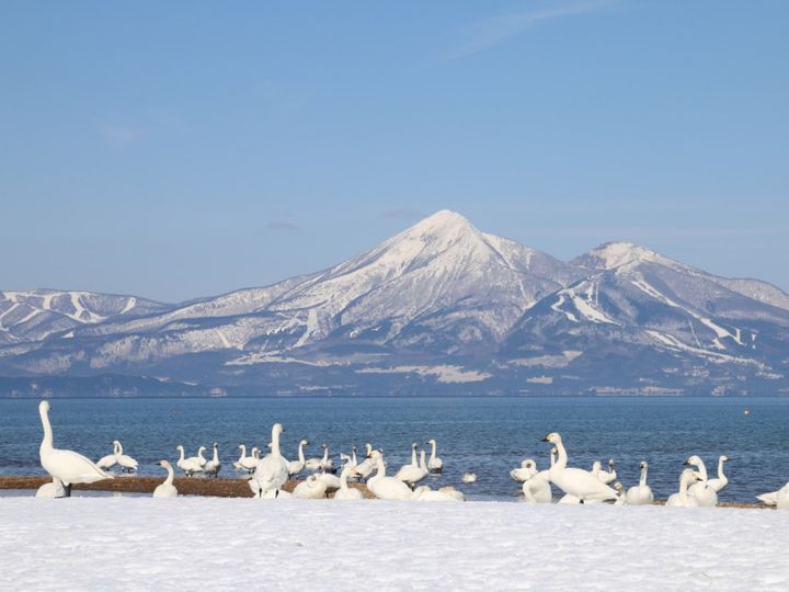 All About ニュース編集部が全国250人を対象に実施した「クラフトビールのブルワリーに関するアンケート」の調査結果から、「好き＆ビールを飲んでみたい福島県のクラフトビールブルワリー」ランキングを発表！ 2位「猪苗代ビール」を抑えた1位は？