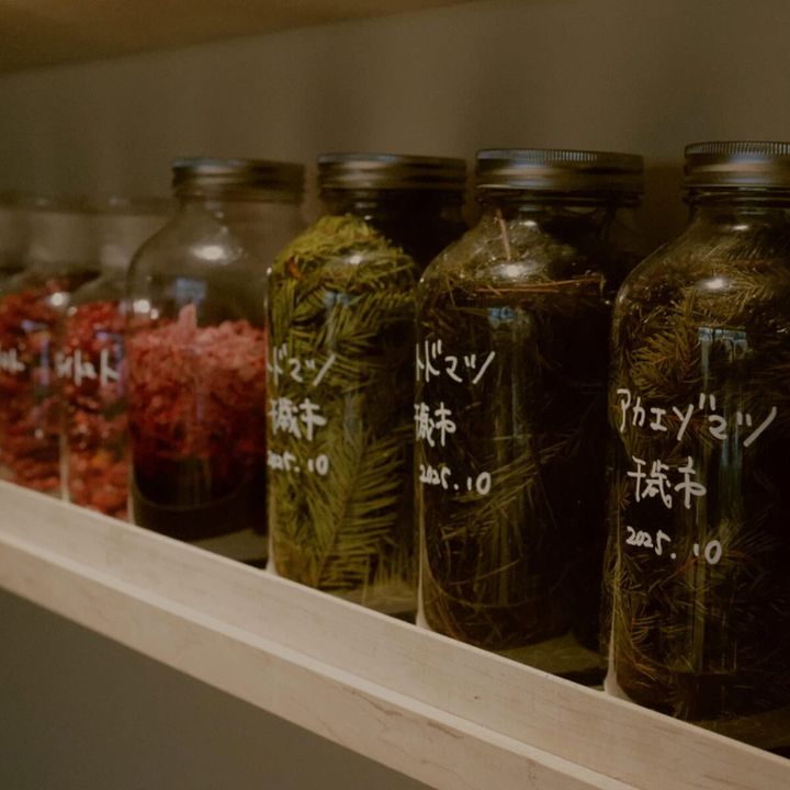 SHIRO運営のレストランMORISHIRO（モリシロ）