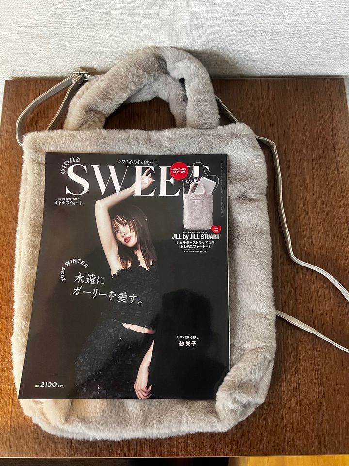 買って良かったドデカ付録・バッグ編