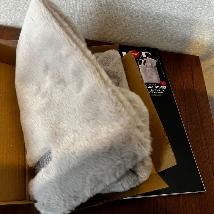 買って良かったドデカ付録・バッグ編