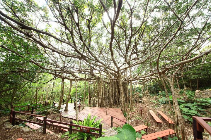 ASMUI Spiritual Hikes 