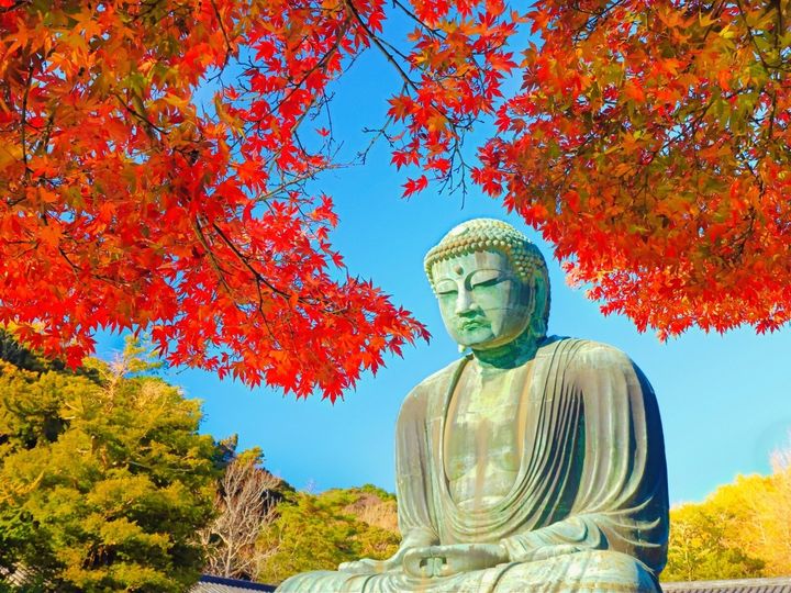 All About ニュース編集部は、全国20～60代の男女250人を対象に「移住したい市」に関する独自のアンケート調査を実施。神奈川県の市で「移住したい」と思う市で1位に選ばれたのは？