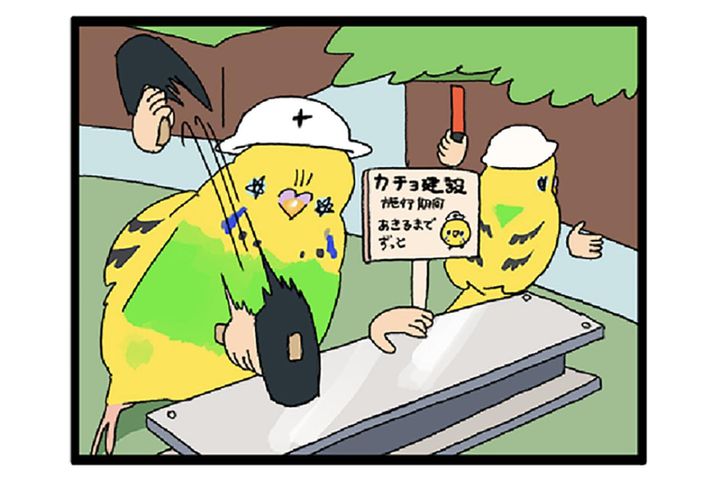 破壊からキュンへ ― セキセイインコ・カチョリエルの二面劇【鳥マンガ #150】