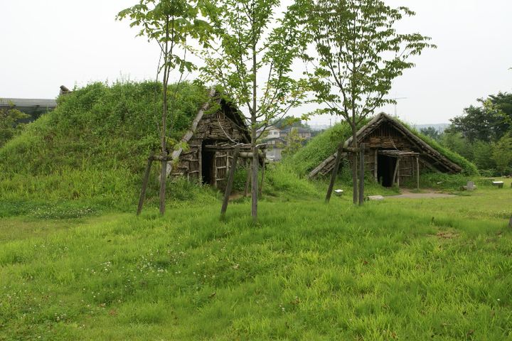仙台市縄文の森広場