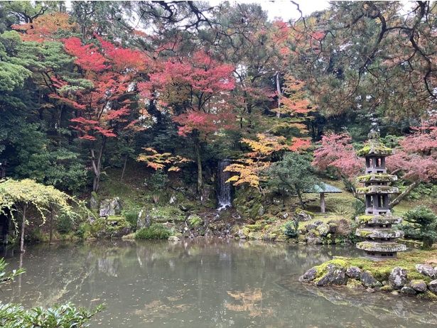 徽軫灯籠付近は水面に紅葉の色が水面に映り、趣きある風景になる/特別名勝 兼六園の紅葉 画像提供：石川県金沢城・兼六園管理事務所