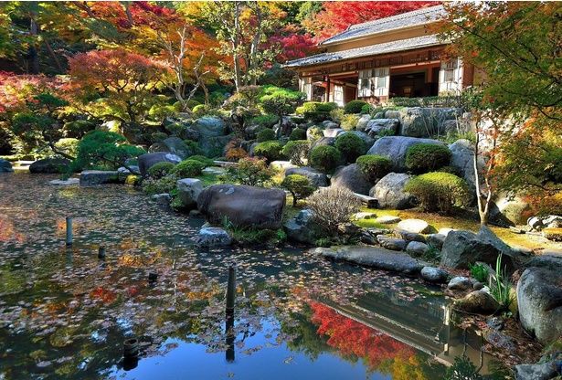 園内の日本家屋から紅葉で彩られた庭園を楽しめる/徳明園の紅葉 画像提供：洞窟観音 徳明園