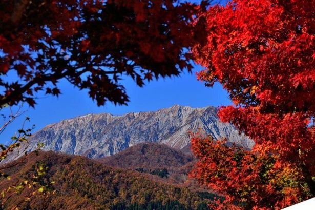 休憩所から見た赫山の紅葉/蒜山高原の紅葉 画像提供：蒜山観光協会