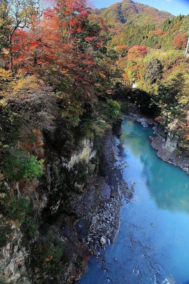 吾妻川の浸食でできた渓谷を紅葉が彩る/国指定名勝 吾妻峡の紅葉 画像提供：東吾妻町まちづくり推進課