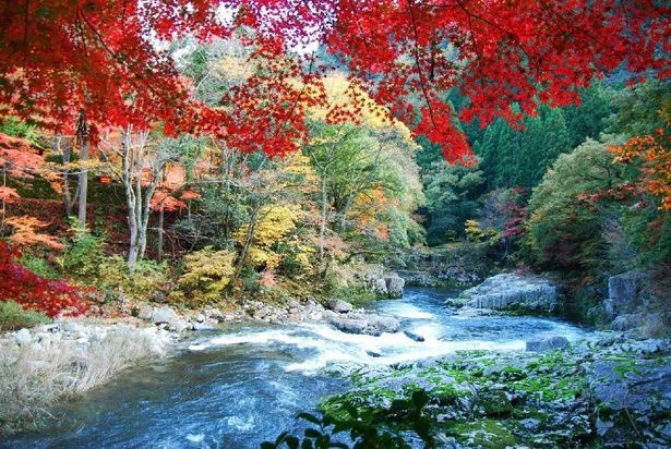 清らかな渓流を紅葉が彩る/奥津渓の紅葉 画像提供：鏡野町観光協会