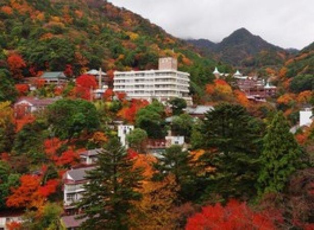 紅葉した木々が旅館を囲む様子は絵画のよう/湯の山温泉街の紅葉 画像提供：御在所ロープウェイ
