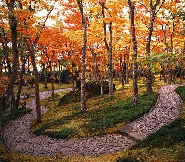 苔の緑と紅葉のコントラストが鮮やかな苔庭/箱根美術館の紅葉 画像提供：箱根美術館