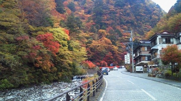 赤や黄色、オレンジに紅葉する様子は美しい/梅ヶ島温泉の紅葉 画像提供：静岡市中山間地振興課