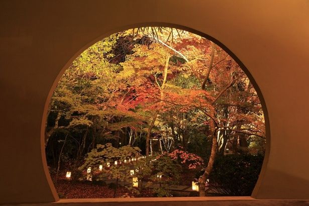 紅葉がライトアップされ、幻想的な景色を楽しめる/円通院の紅葉 画像提供：円通院