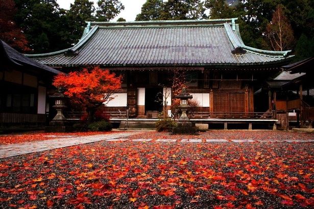 見事な紅葉が楽しめる横川地域/比叡山の紅葉 画像提供：比叡山延暦寺