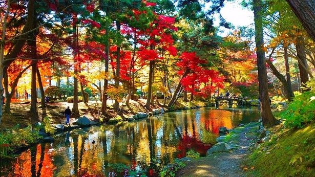 濃い紅色の紅葉が空に映える/盛岡城跡公園(岩手公園)の紅葉 画像提供：盛岡市
